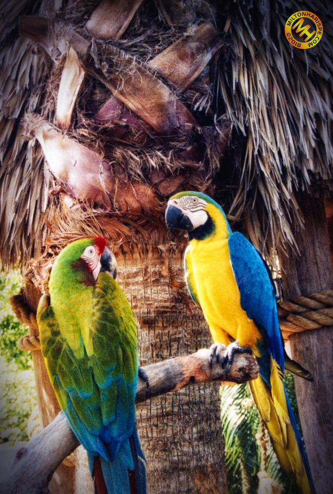 Key West, Florida, USA